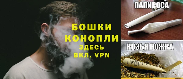 стаф Арсеньев