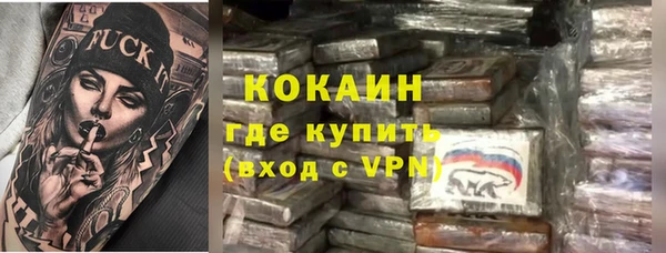 стаф Арсеньев