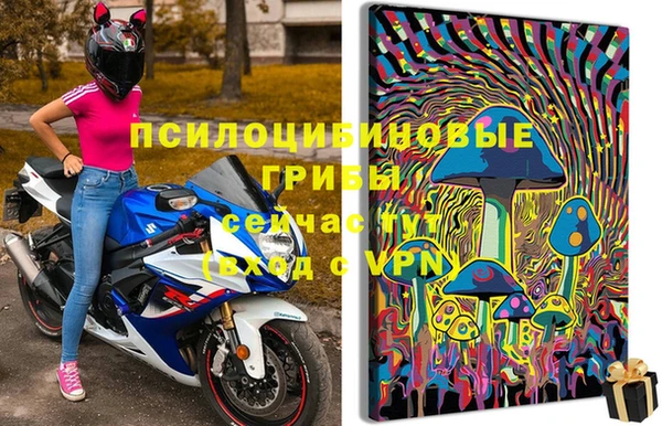 стаф Арсеньев
