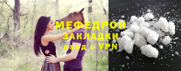 стаф Арсеньев