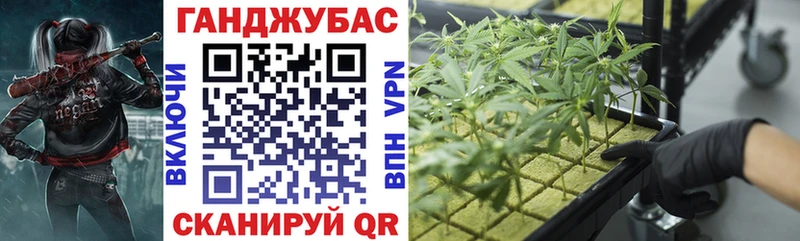 Бошки марихуана план  Змеиногорск 